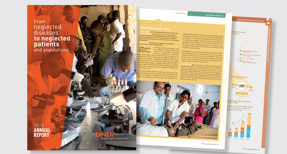 rapport annuel dndi