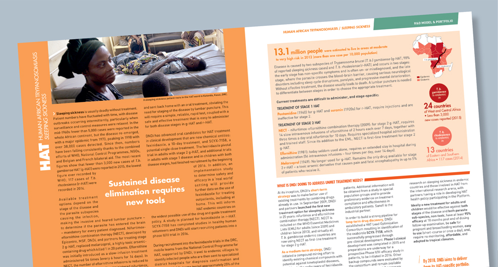 rapport annuel dndi