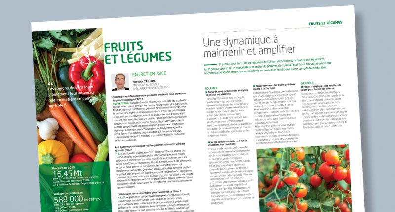 Rapport Annuel - France Agrimer -Rapport d'acitvité