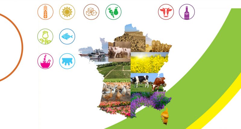 Rapport Annuel - France Agrimer -Rapport d'acitvité