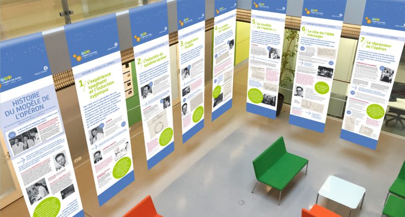 Institut Pasteur - Exposition « 3 pionniers pour un Nobel » 2016