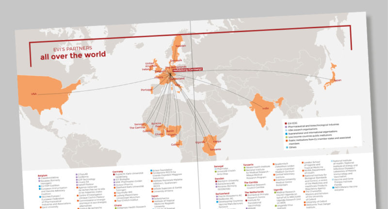 Rapport Annuel- European Vaccine Initiative - Rapport annuel 2015