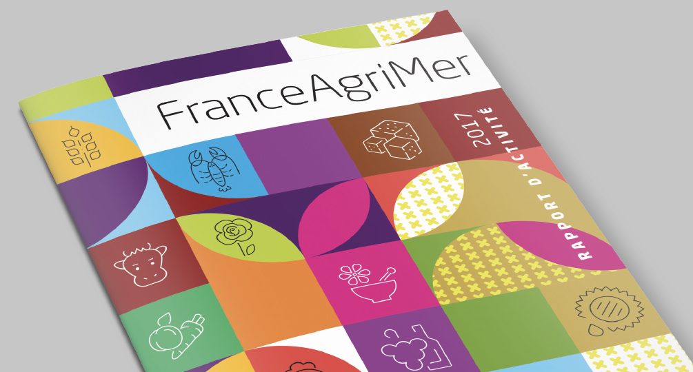 Rapport Annuel - Verallia - Yearbook 2017