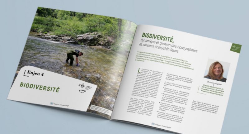 IRSTEA - Rapport annuel 2017