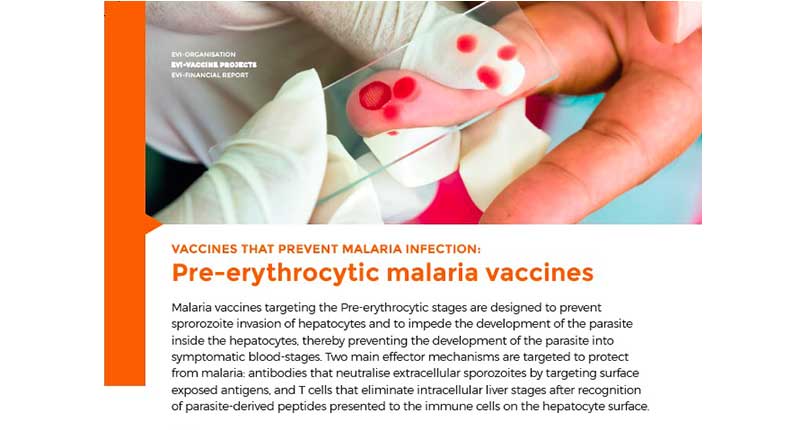 European Vaccine Initiative - Rapport annuel 2016