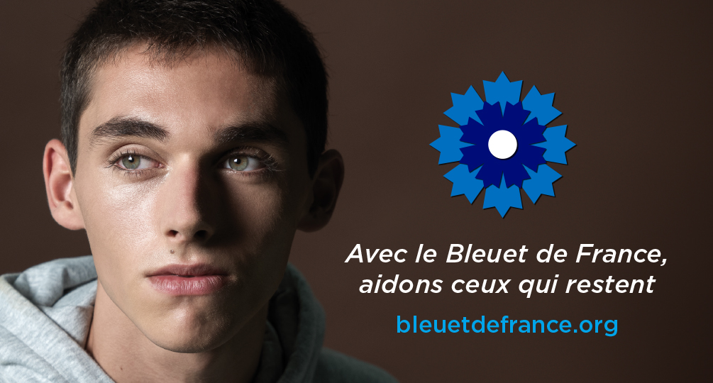 Bleuet-de-france-mur