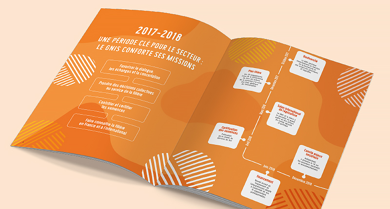gnis-rapport-annuel-2017-2018-2