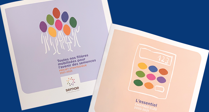 03-SEMAE-brochures-800x430px-2