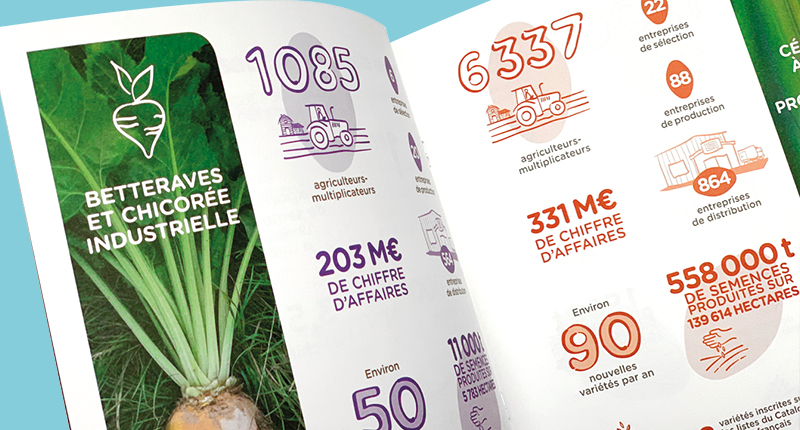 03-SEMAE-brochures-800x430px-3