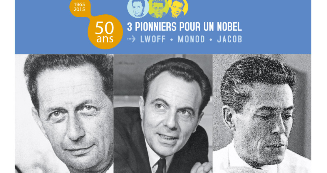 Institut Pasteur, 3 pionniers pour un Nobel