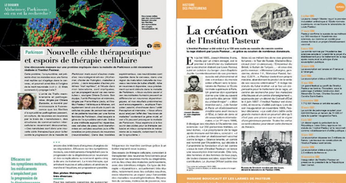 Nouvelle maquette pour La lettre de l’Institut Pasteur