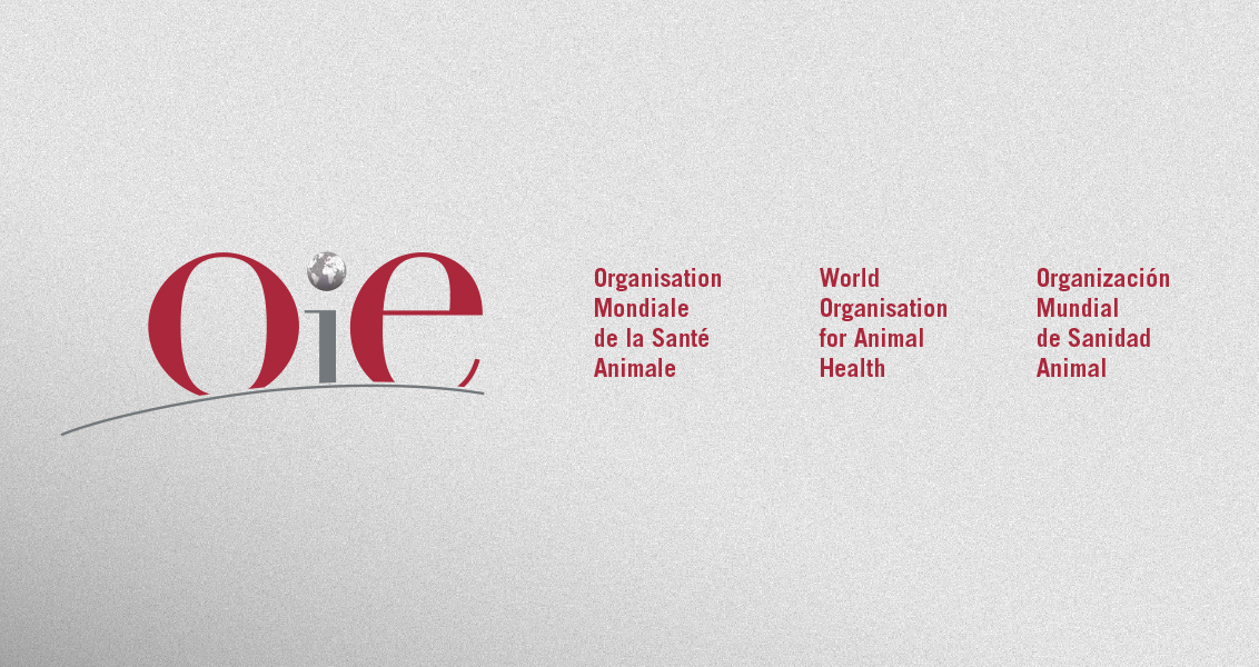 BRIEF prend soin de la prochaine identité visuelle de la 88e Session Générale de l’OIE (Organisation mondiale de la santé animale)
